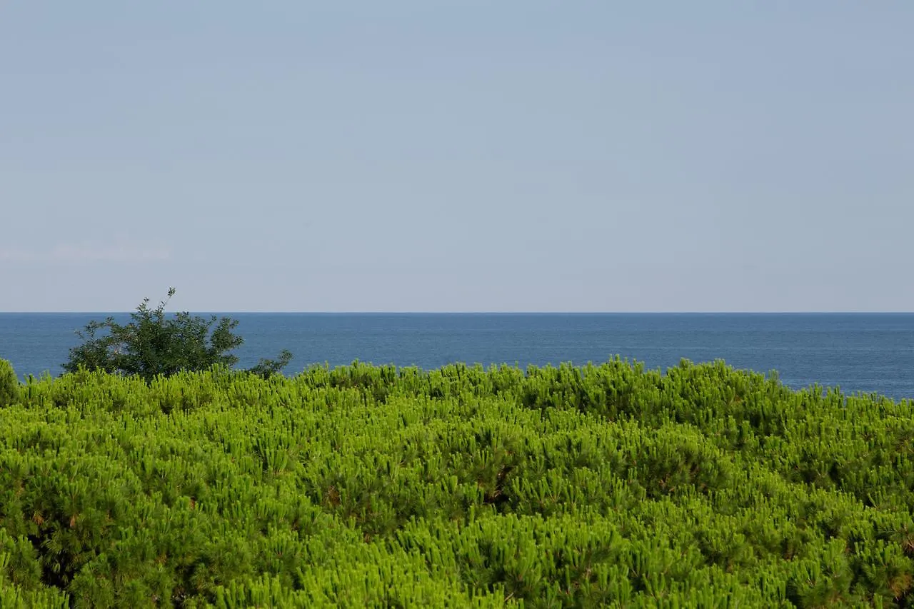 **** Hotel Aparthotelharvey Lido di Jesolo Italy