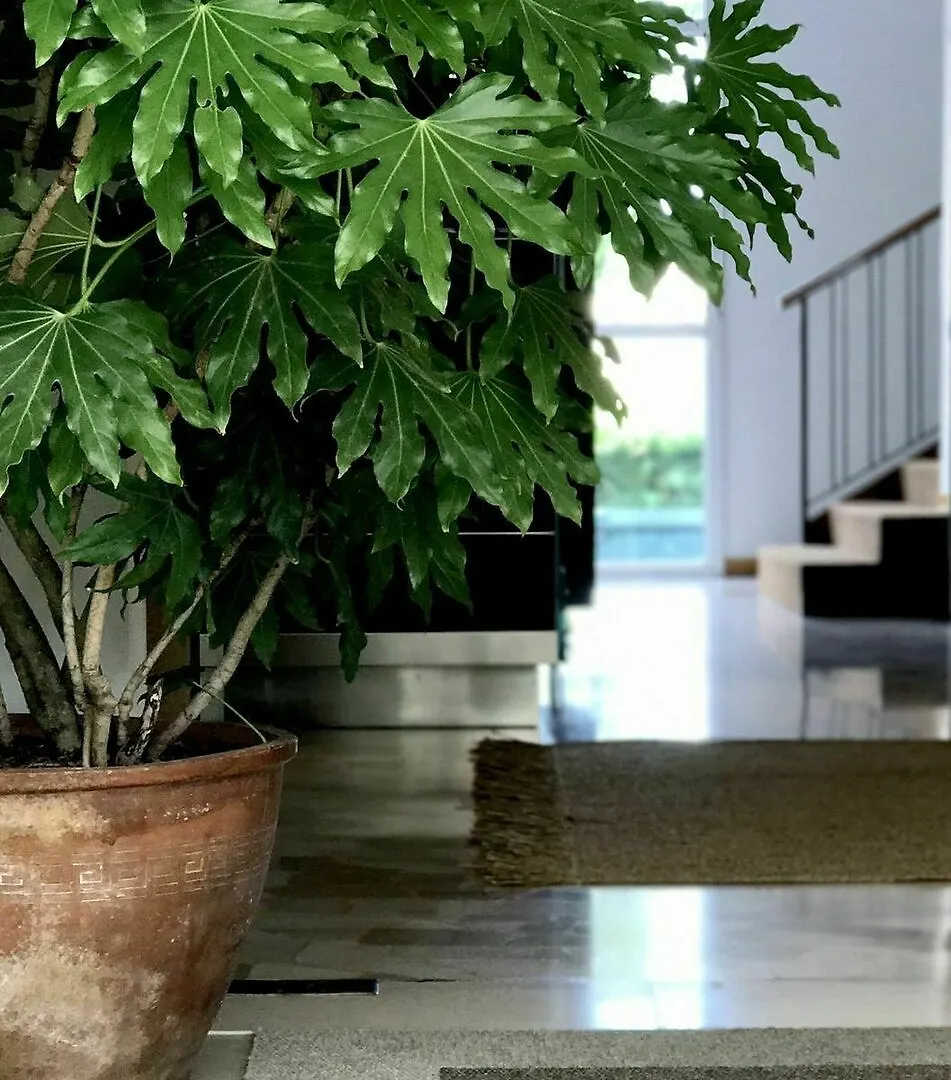 Hotel Aparthotelharvey Lido di Jesolo